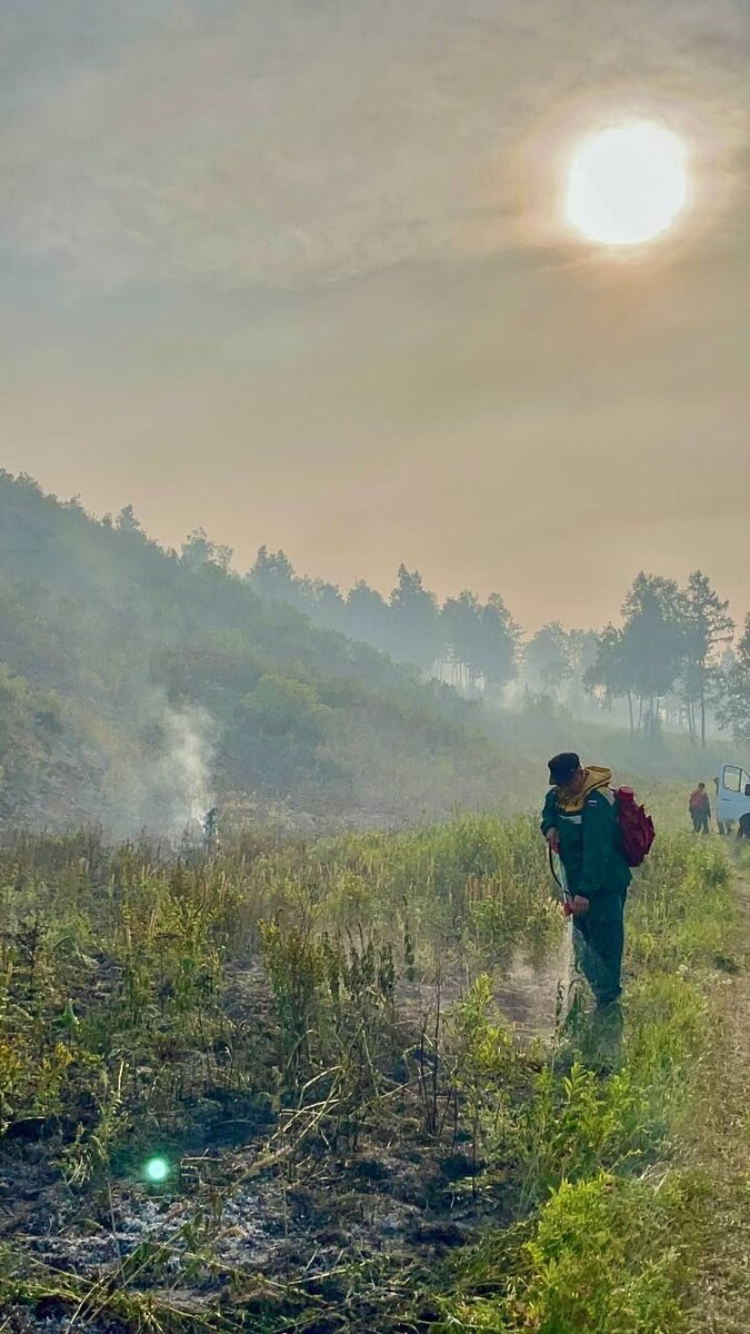    Фото: Telegram-канал Александра Осипова