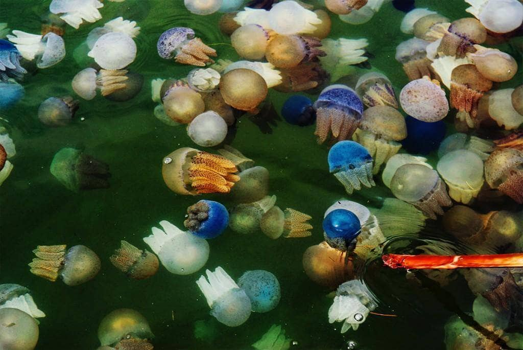 Фото с сайта thailand-turist.com