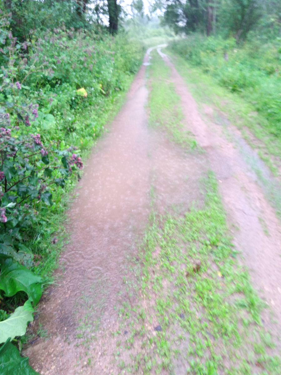 На высший не тянет.