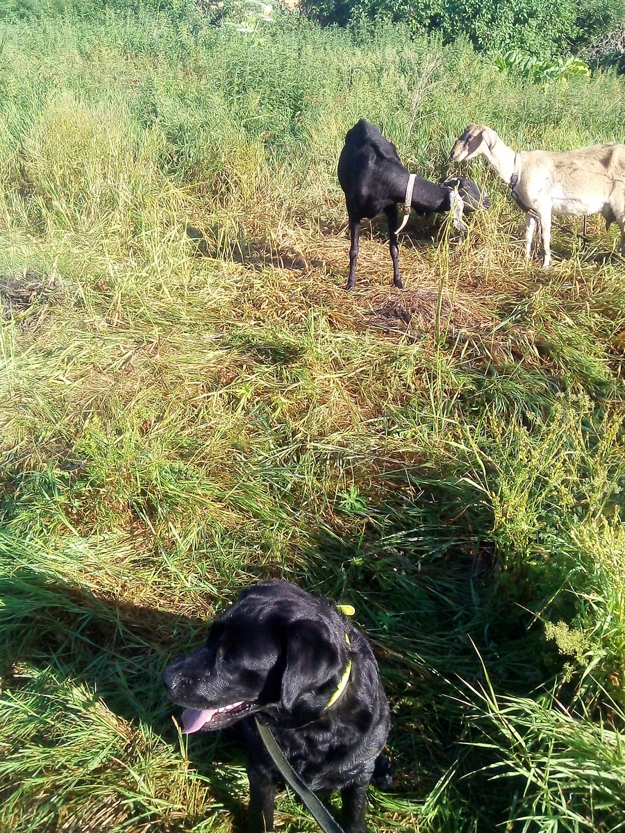 Фото автора. 