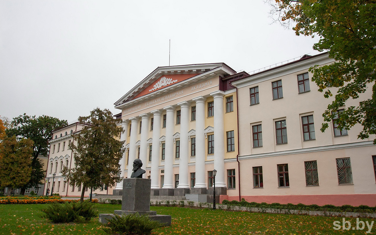    Узнали, какая специальность пользуется наибольшей популярностью у абитуриентов в БГСХА