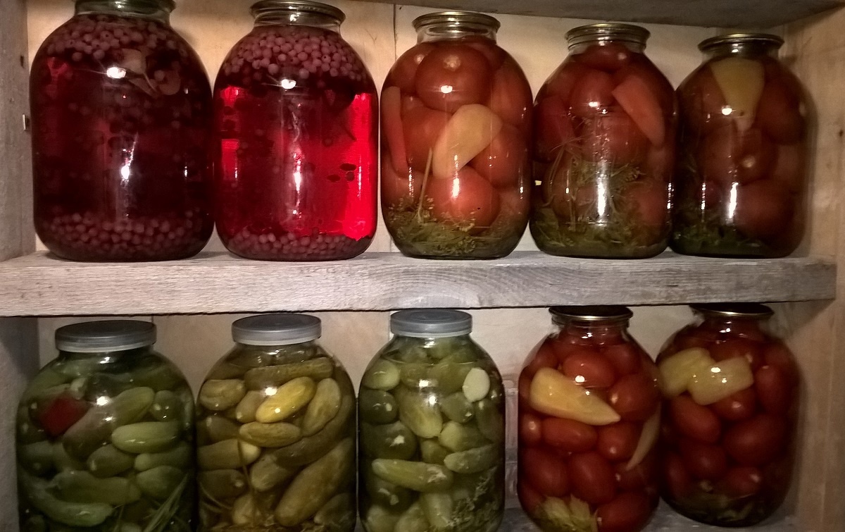 Папоротник в ночь на ивана купала. Алый цветок папоротника глава 44. Алый цветок папоротника глава 44. Папоротник рисунок акварелью. Алый цветок папоротника глава 44.