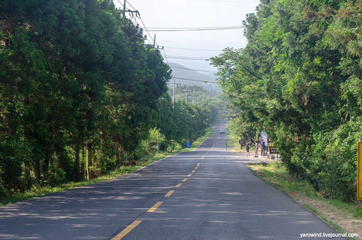 Мистическая дорога Чеджудо