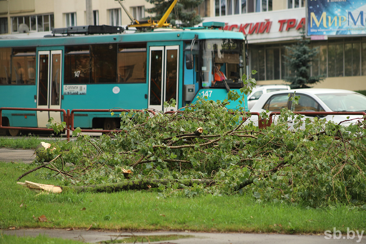    Отсутствие электричества, упавшие деревья и погибшие — последствия бушевавшей в выходные непогоды