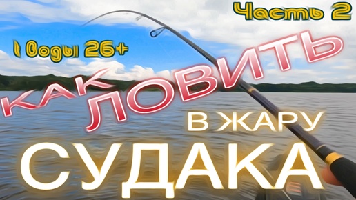 КАК ЛОВИТЬ СУДАКА В ЖАРУ. t воды 23-27 гр. ИЮЛЬ 2024. часть 2.