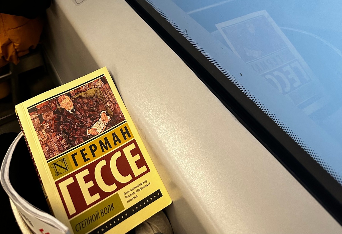 В руках был начатый «Степной волк» Германа Гессе, за окном — белым-бело, и вскоре я убаюкалась под идеальный поток «Музыка нулевых» от Яндекс Музыки