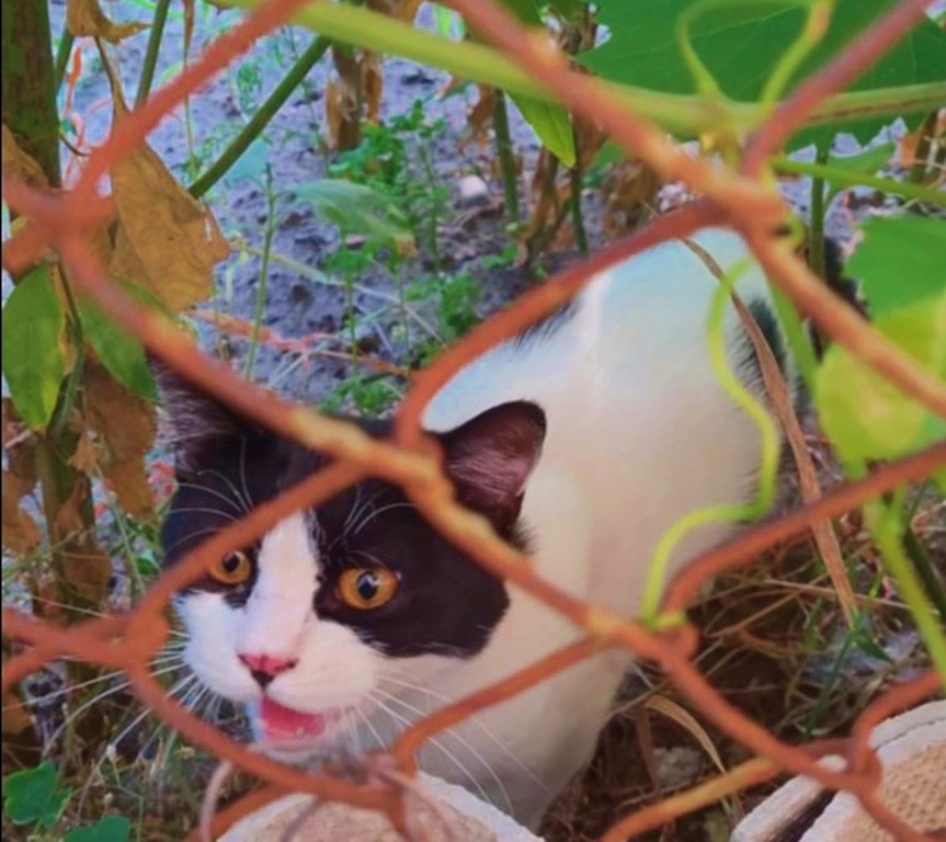 Макс, как и я, тоже в стрессе