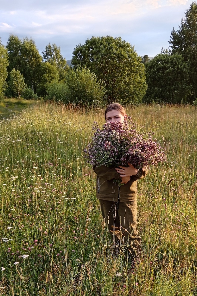 Такими вот охапками мы собираем травы