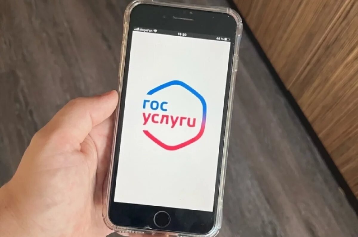    Госуслуги на телефоне.