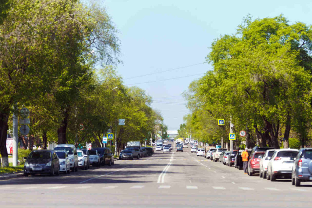    Фото: Светлана Митина