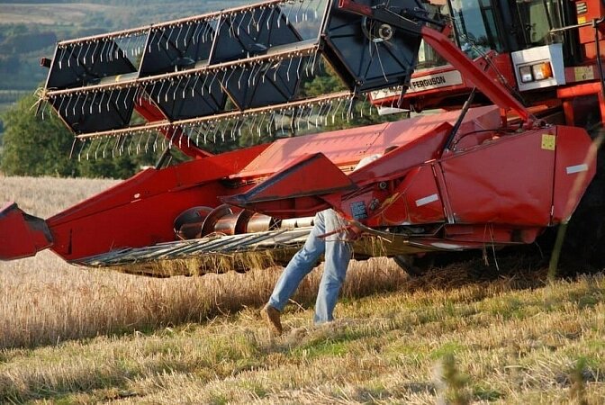 Фото: freepik.com