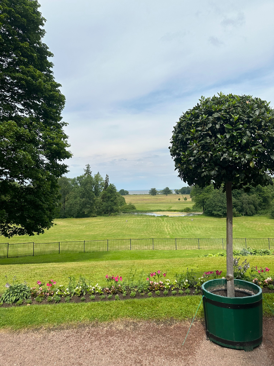 Территория парка Александрия
