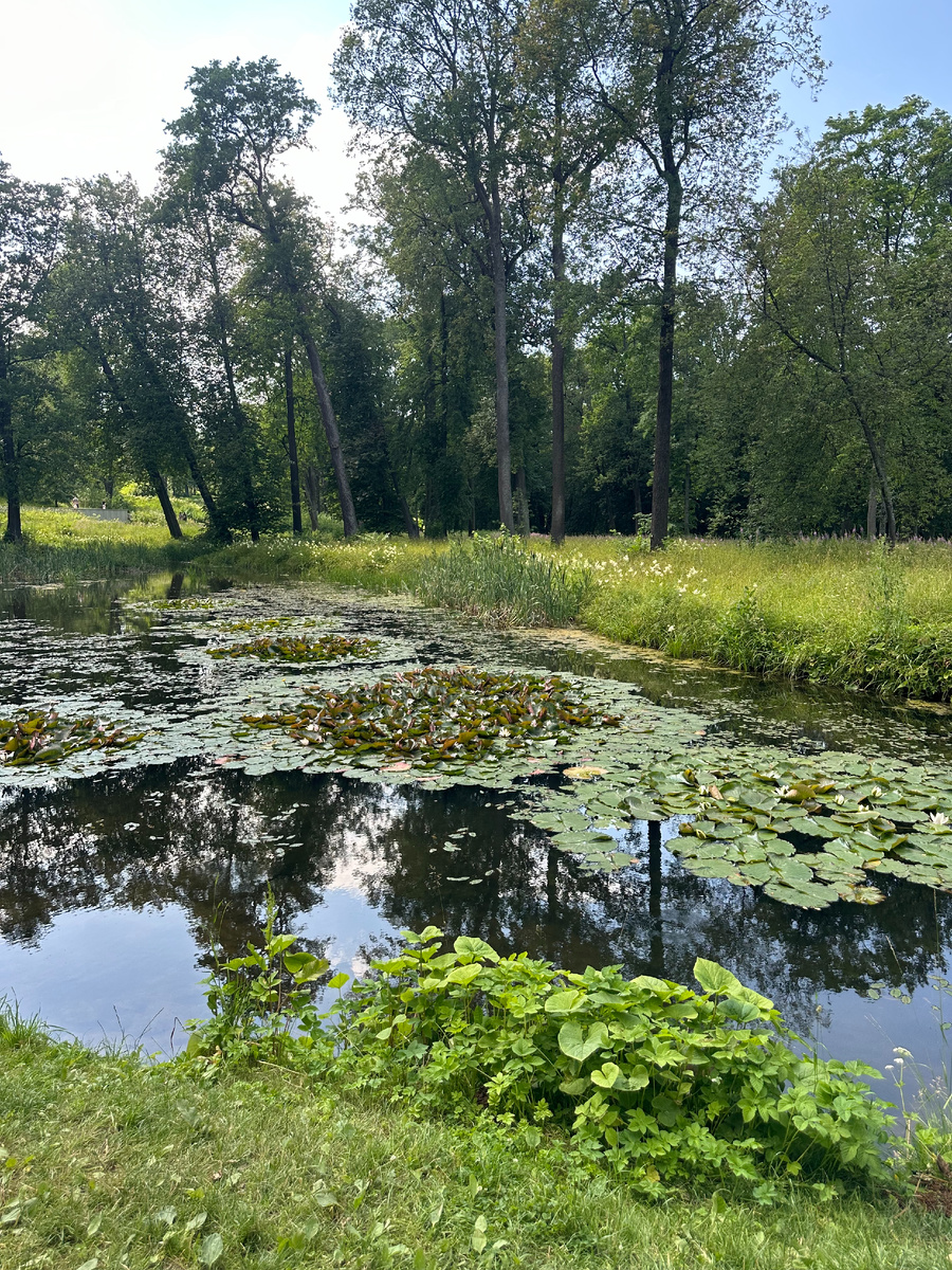 Территория парка Александрия