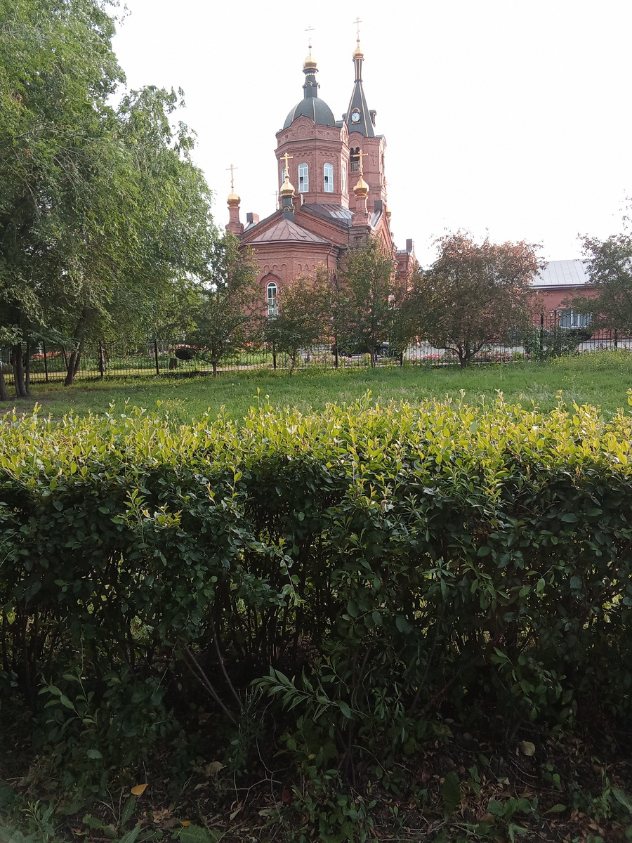 Все фотографии в статье сделаны автором канала
