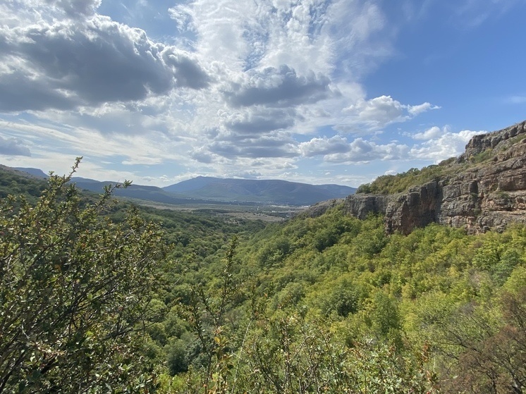     Фото: МК в Крыму