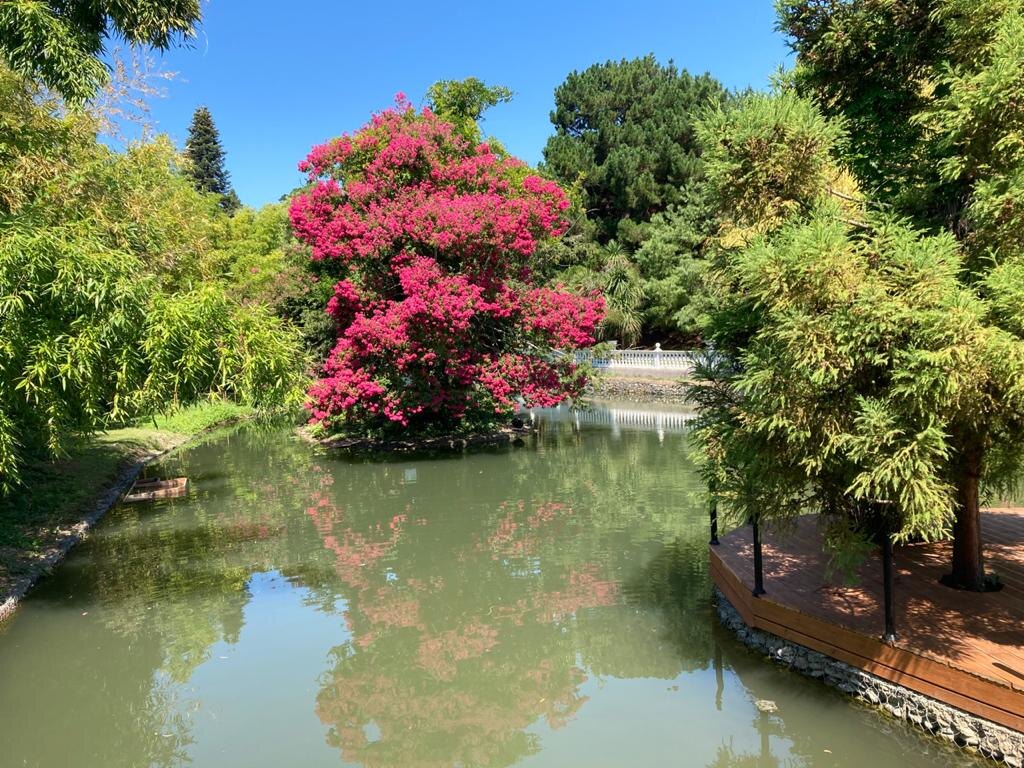    Фото: пресс-служба Сочинского нацпарка