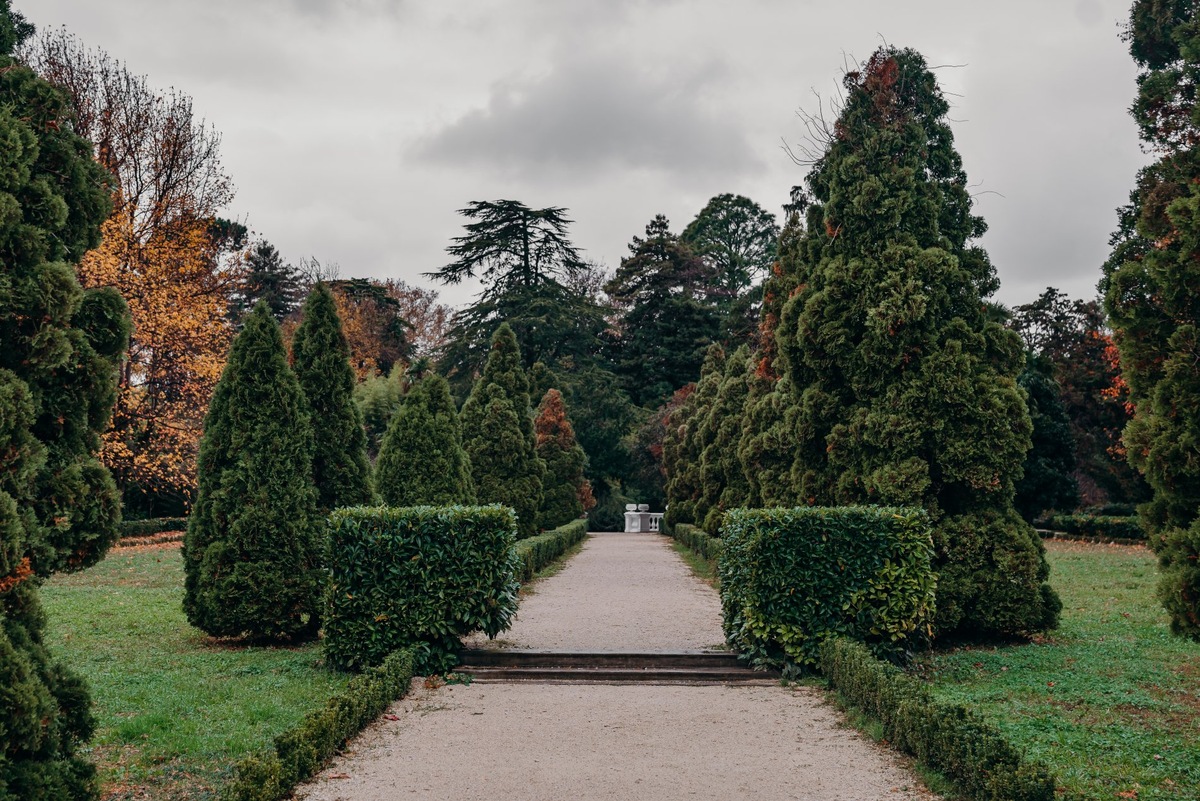    Фото: пресс-служба Сочинского нацпарка