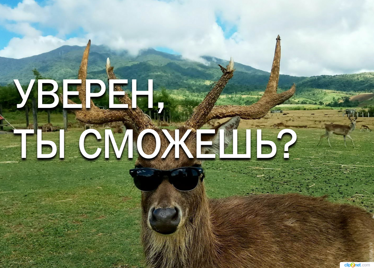 Главный секрет успеха