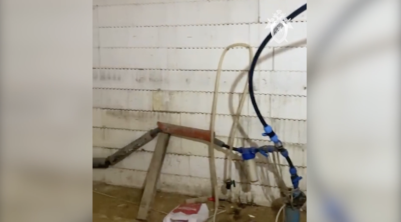    Подвал, в котором нашли жертву. Скриншот: Следком