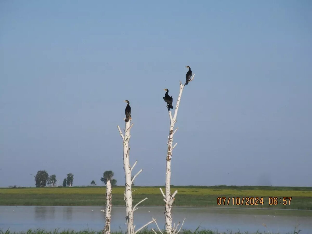     Источник: Управление по охране животного мира