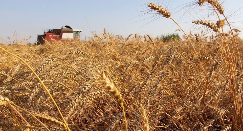    Пресс-служба губернатора Московской области