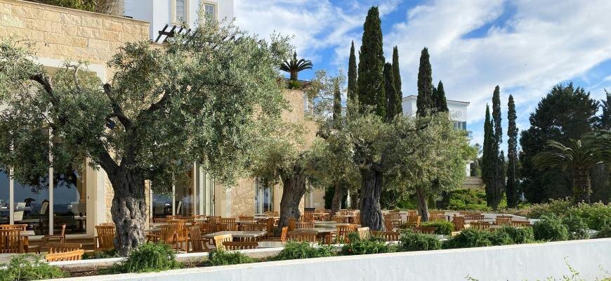 Photo by Secret Travel Guide on Unsplash