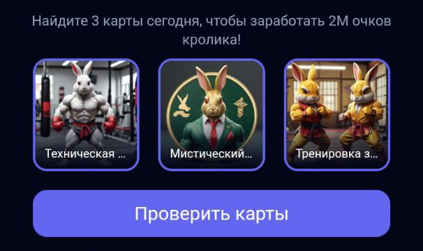 Комбо карточки для Rocky Rabbit от 16.07.2024 г.