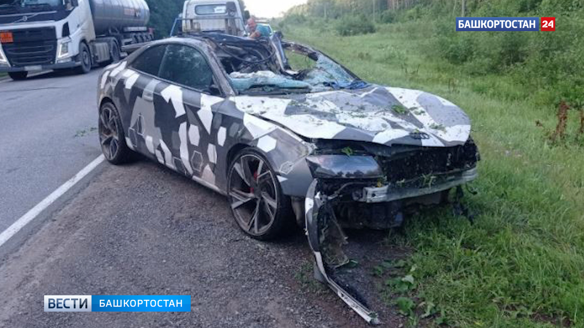    В Башкирии водитель Audi насмерть сбил лося