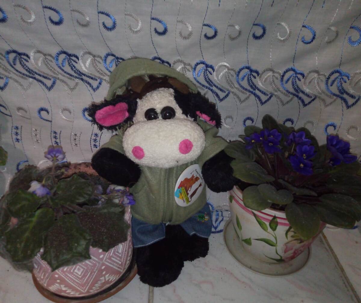 фото автора 