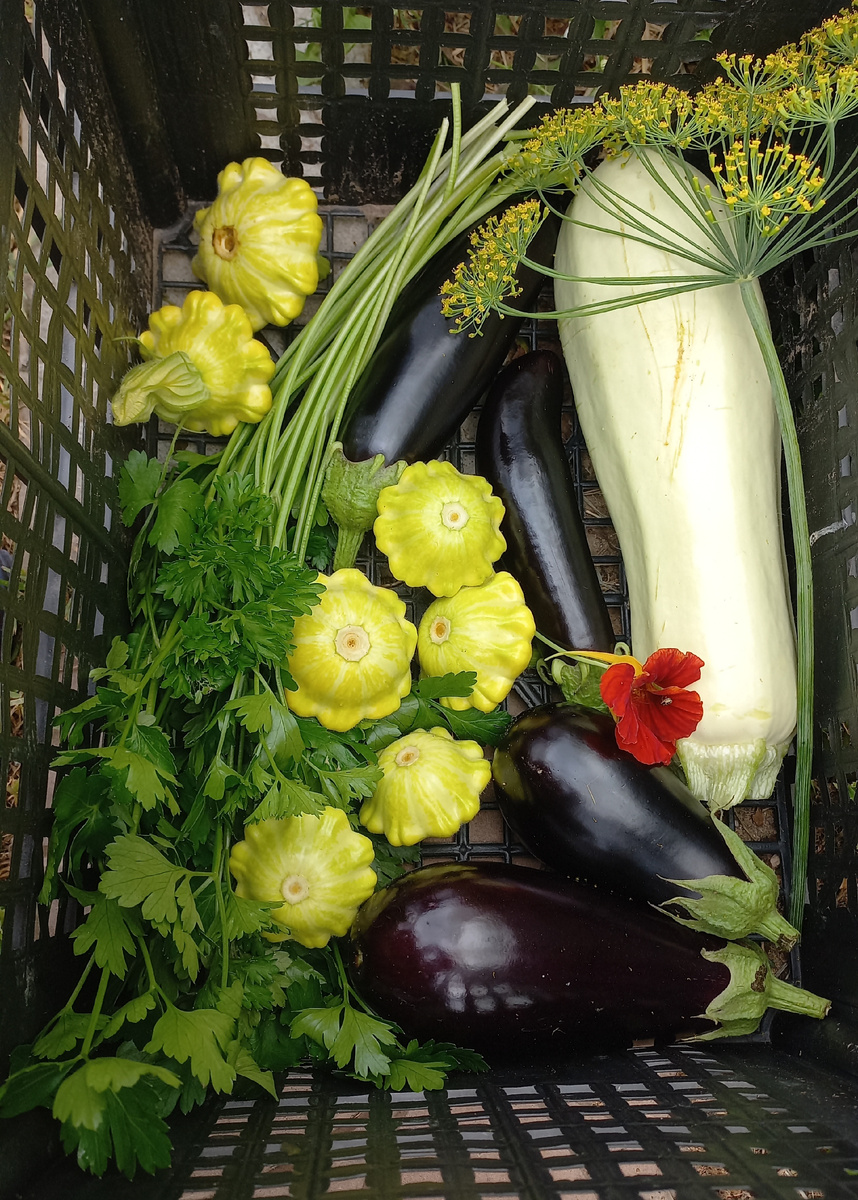 Тащим урожай домой