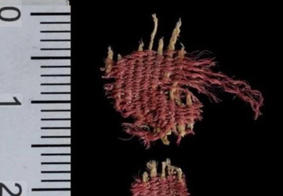    Фотог: Ткань, окрашенная кермесом. Дафна Газит / Управление древностей Израиля