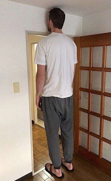 Добавьте описание