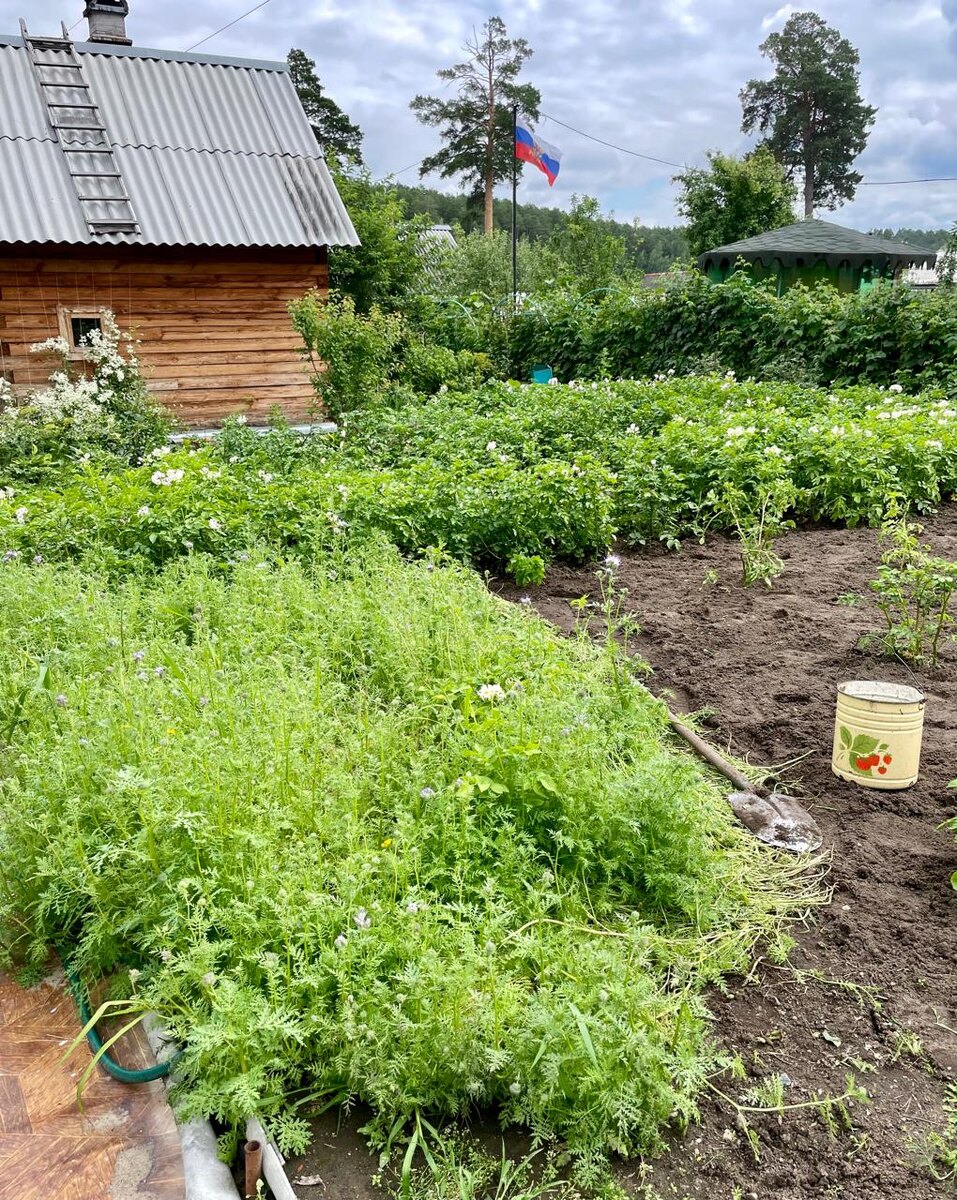 Остался этот уголок - на завтра. 