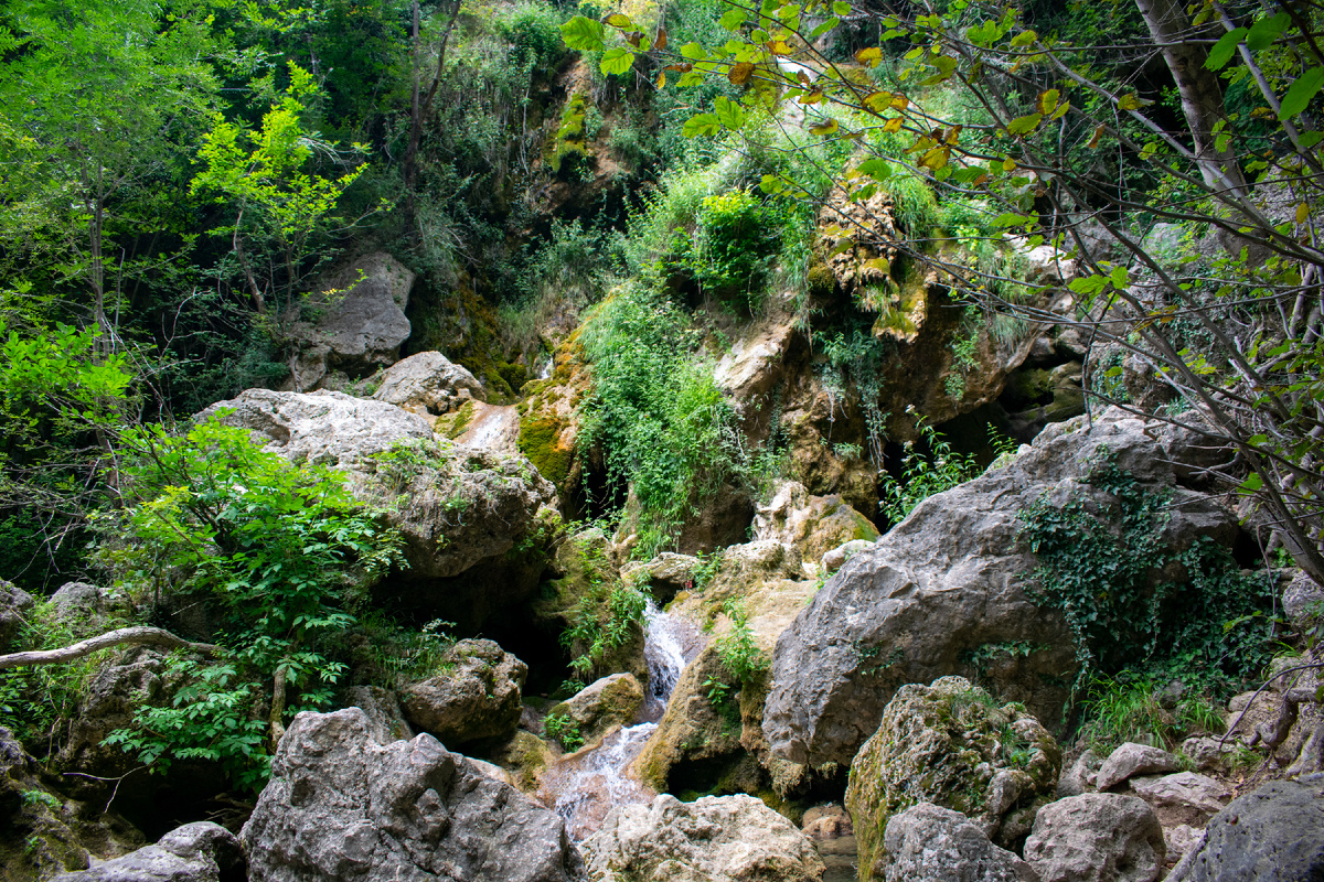 Фотография автора статьи.