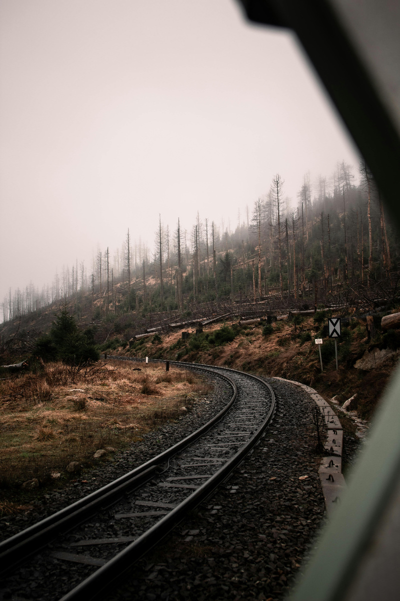 Фотограф: Oliver Dohrn: https://www.pexels.com/ru-ru/photo/23322524/