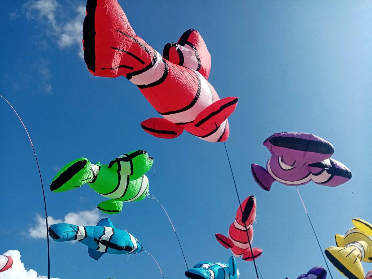 20 июля небо над пляжем Парка 300-летия Санкт-Петербурга наполнится разнообразной летающей живностью и другими причудливыми конструкциями — здесь пройдет фестиваль воздушных змеев «Легко фест».