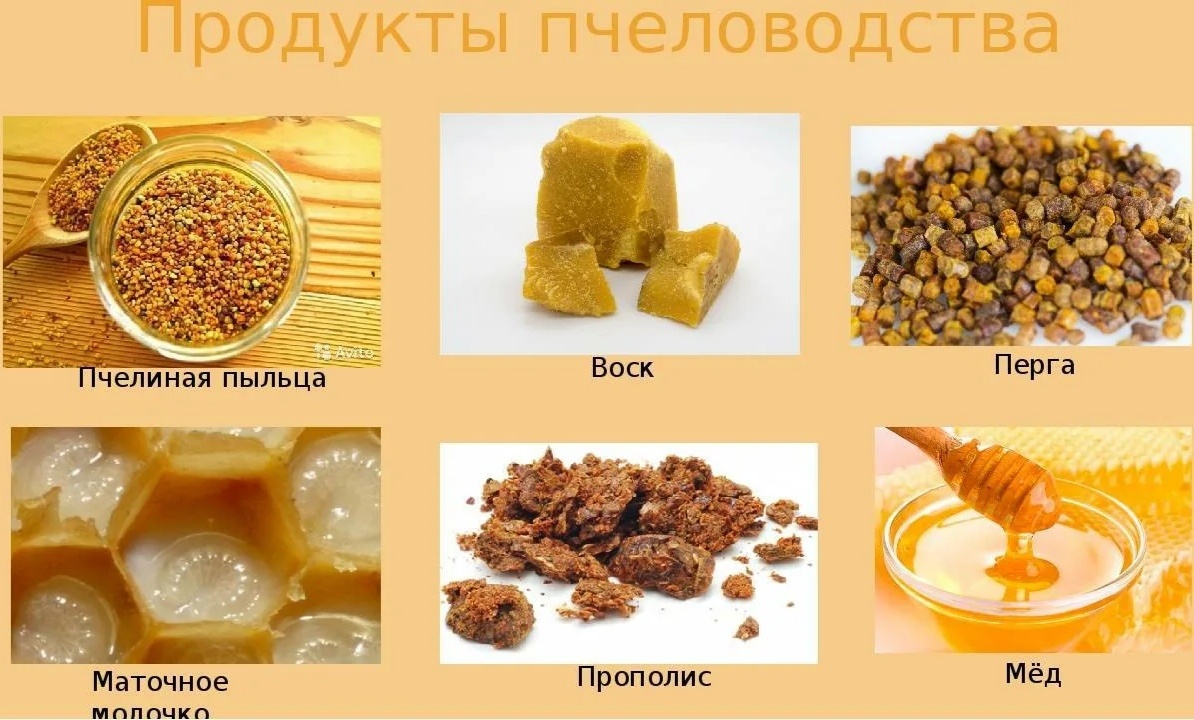 Продукты пчеловодства