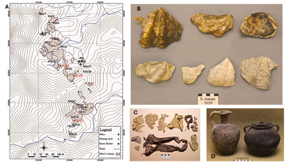   Michal David et al. / Journal of Arid Environments, 2024