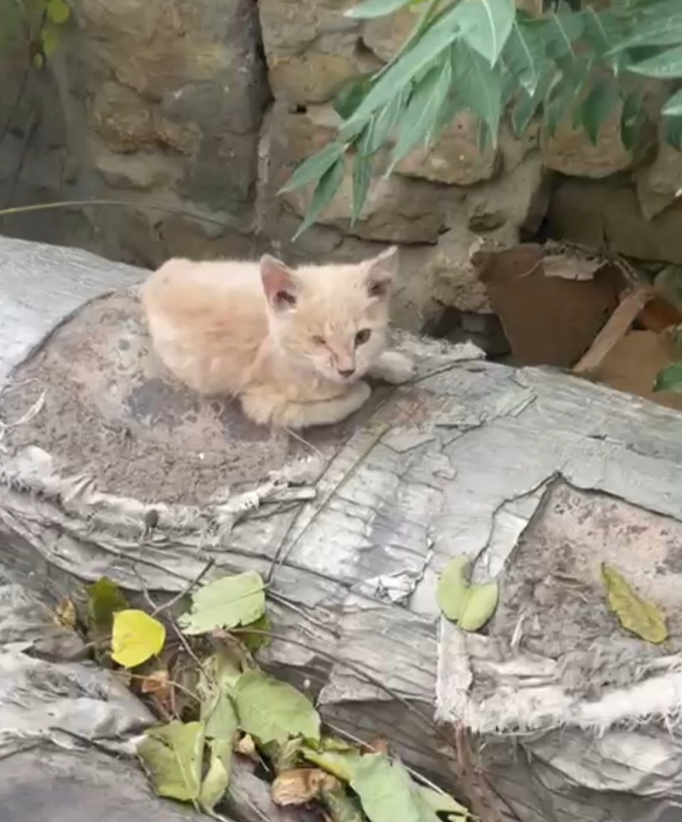 Фото автора. Мамин.