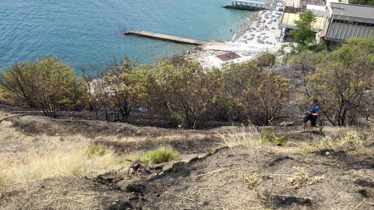 Фото: Telegram-канал главы Ялты