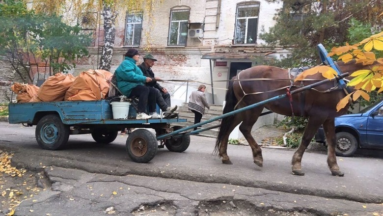 Это собрат  лошадки. Он работает в соседней психиатрической больнице.