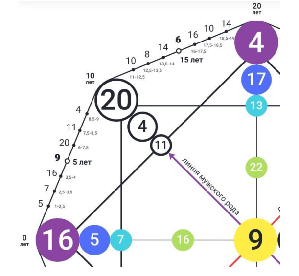 Карта Здоровья в Матрице Судьбы