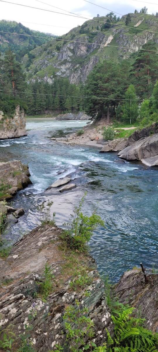 По Катуни устраивают эксримальные сплавы - вом точно понравится! Главное найти опытных профессионалов и ваша жизнь будет неопасности, а порции адреналина, полученной здесь хватит на долго. 