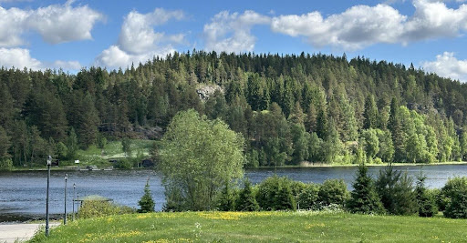 Вид на Ладогу / Фото автора