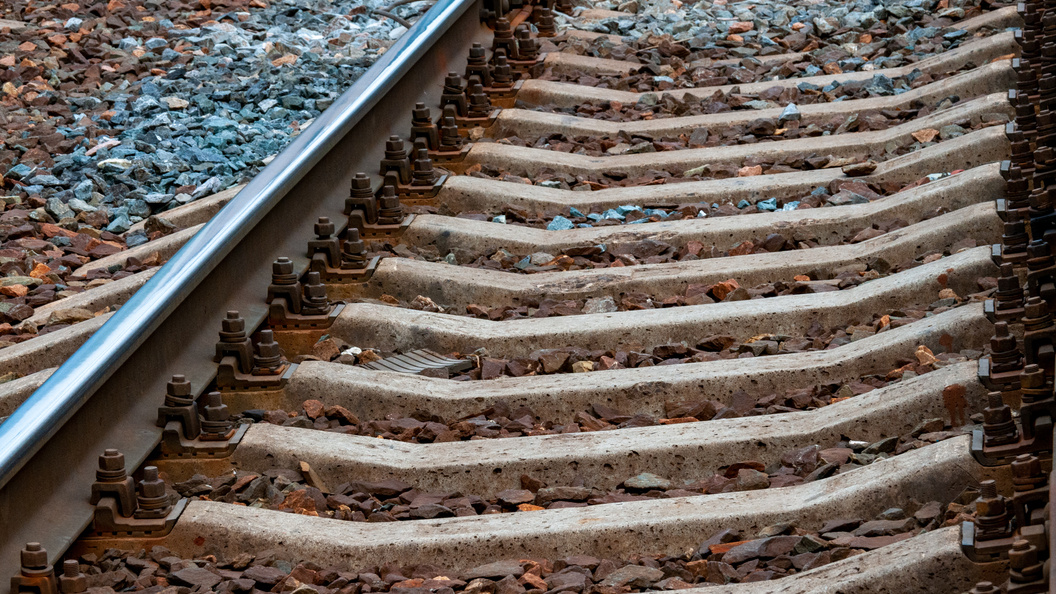    Svetlana Vozmilova/Global Look Press