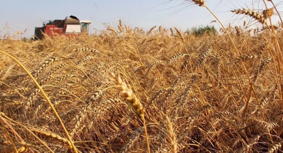    Пресс-служба губернатора Московской области