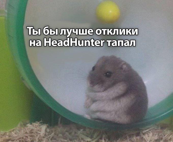 x.com📷Игра Hamster Kombat вдохновила людей на создание мемов