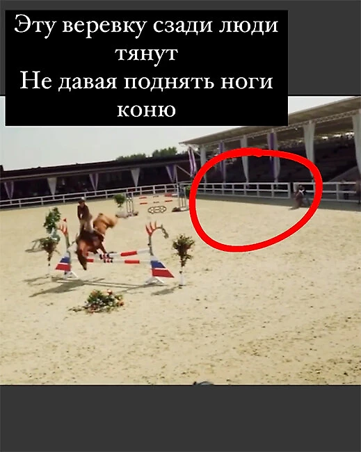 Скриншот: соцсети Елены Овсиенко / Sports.ru