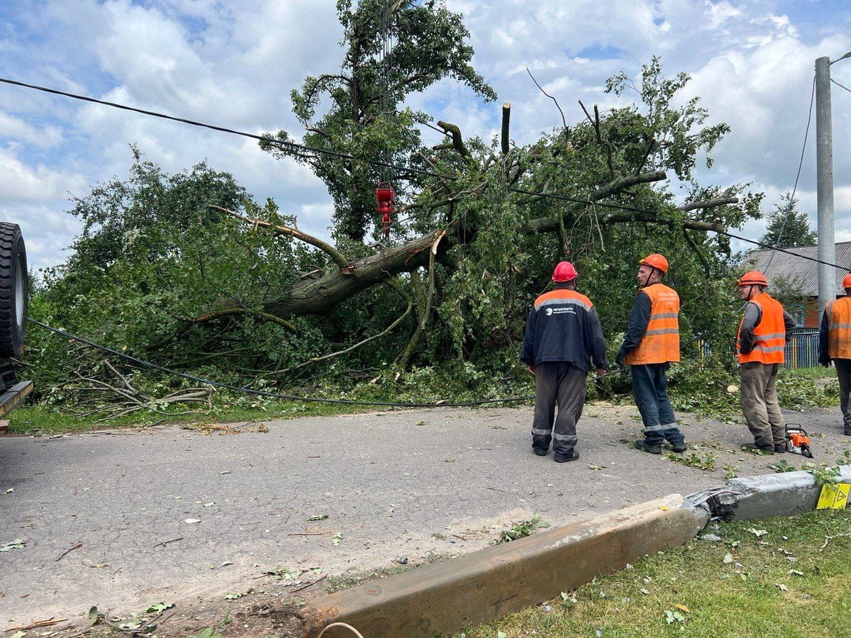    В режиме нон-стоп. Как Могилевская область восстанавливается после разрушительного урагана