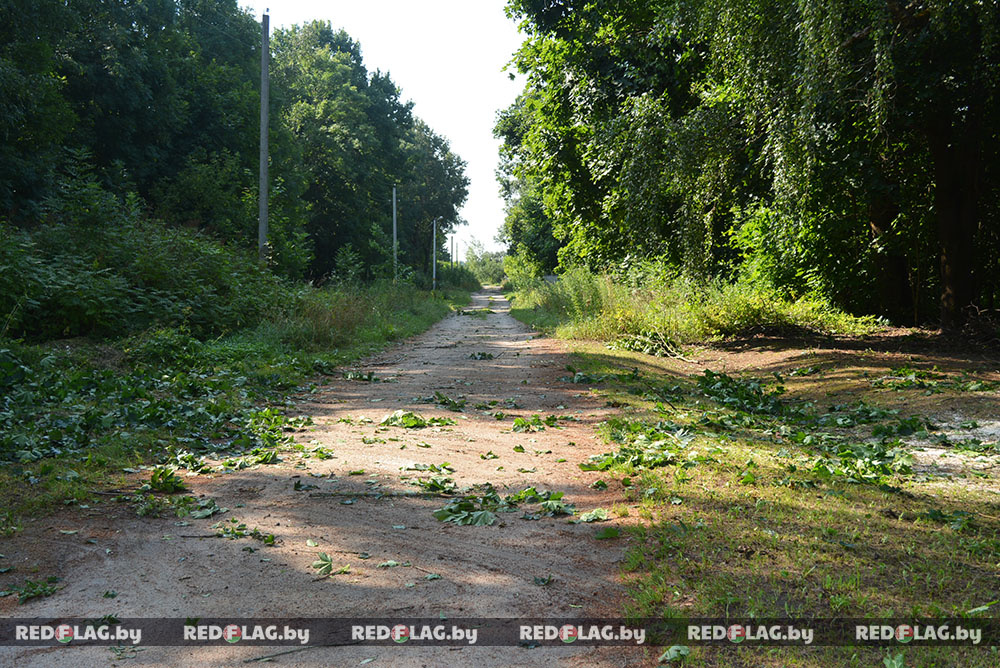    В режиме нон-стоп. Как Могилевская область восстанавливается после разрушительного урагана